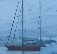 «Мрія про Антарктиду» Маркіян Прохасько