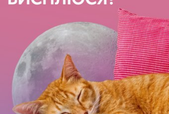 «Коли я нарешті висплюся» Ніка Бєльська, Ольга Маслова