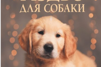 «Ідеальне Різдво для собаки» Брюс Кемерон