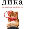 «Дика. Шлях від втрати до віднайдення себе» Шеріл Стрейд