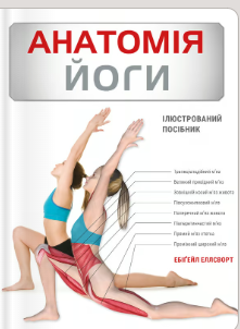 «Анатомія йоги. Ілюстрований посібник» Ебіґейл Еллсворт